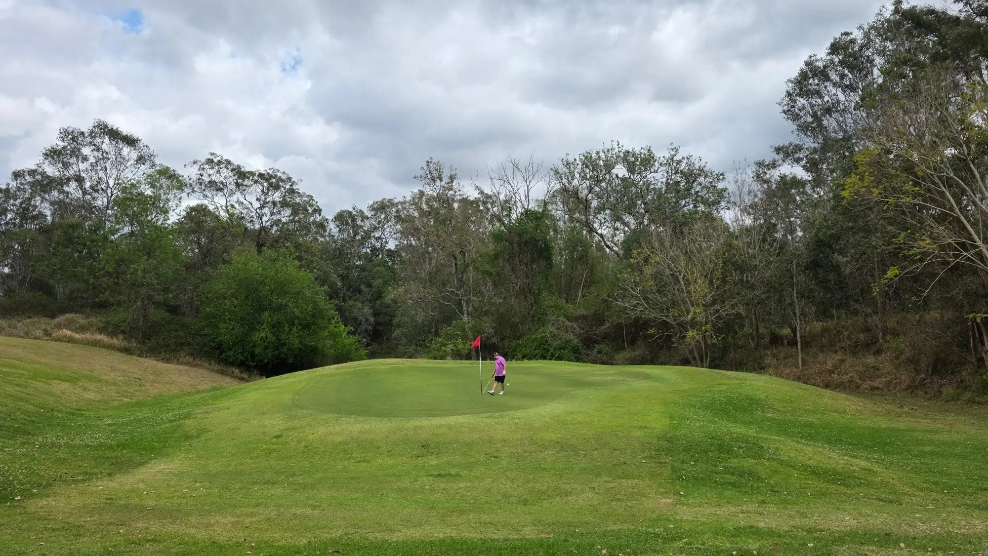 Mounded green among gums with a golfer in the distance