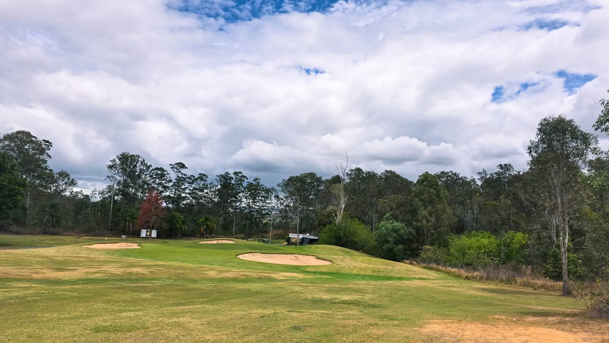 Fairway bunkers and tall gums under a big cloudy sky