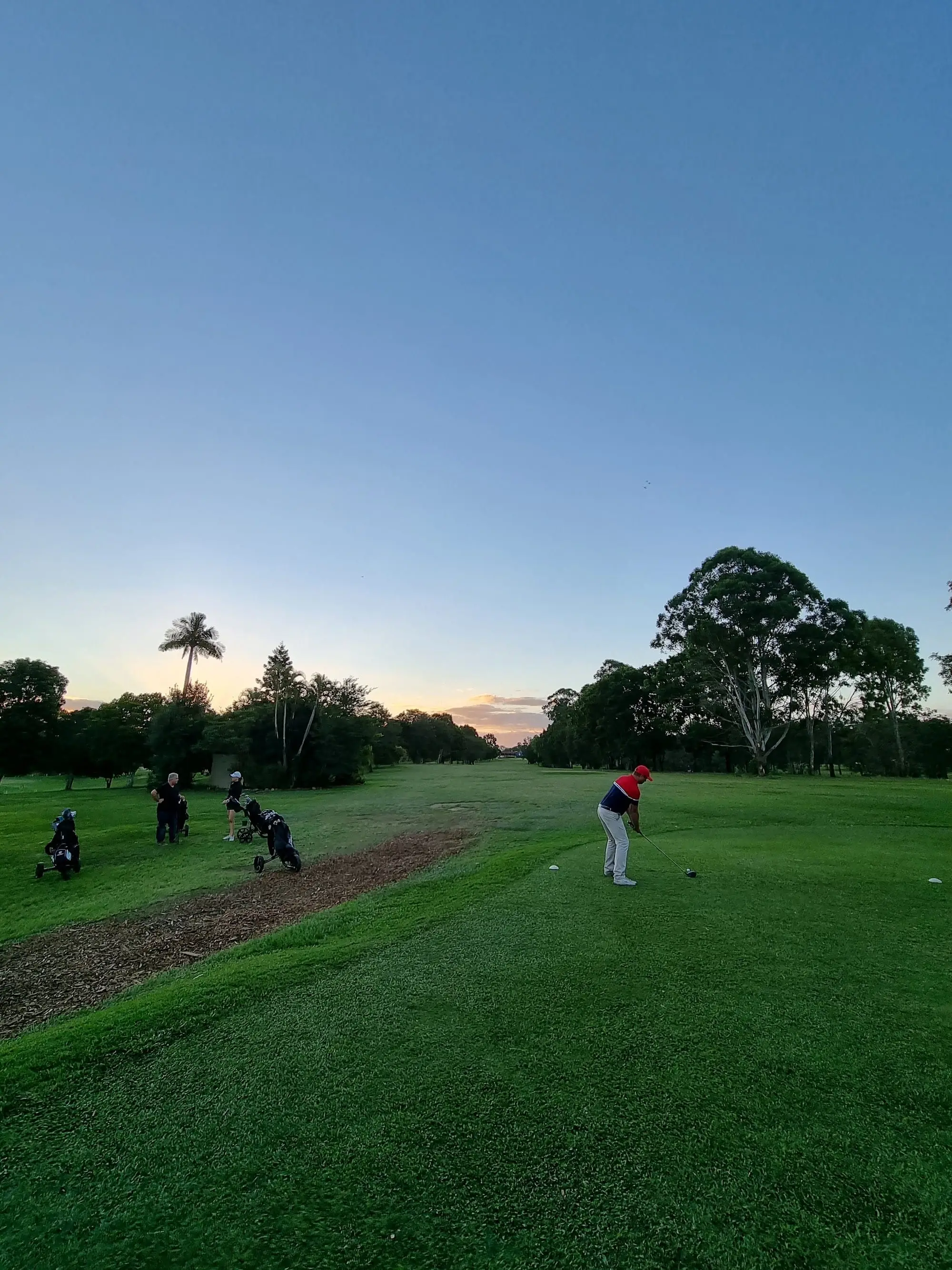 Dusk light over a fairway with trees and golfers teeing off