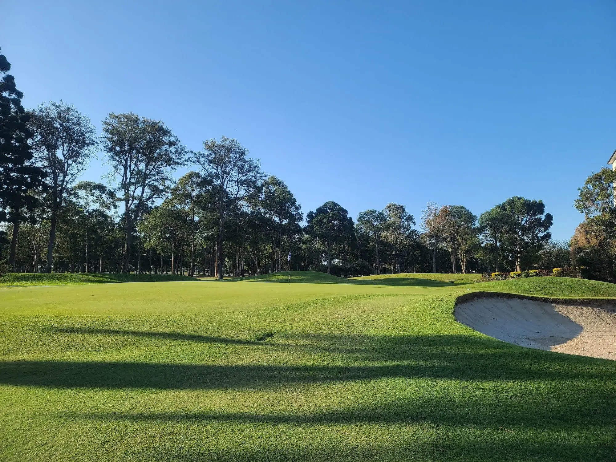 Green with bunker and trees under a deep blue sky