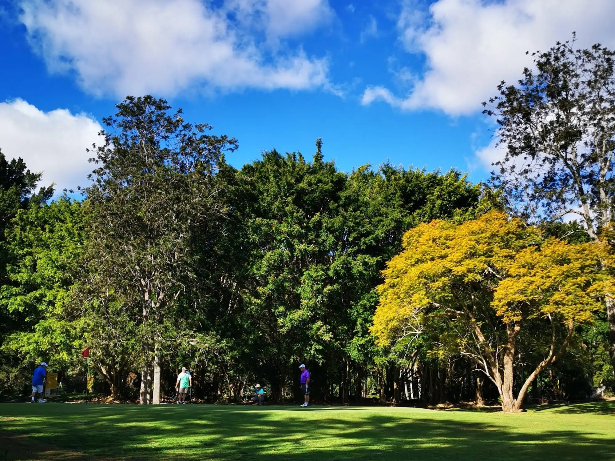 Fairway with golfers in the distance beneath tall trees and bright sky
