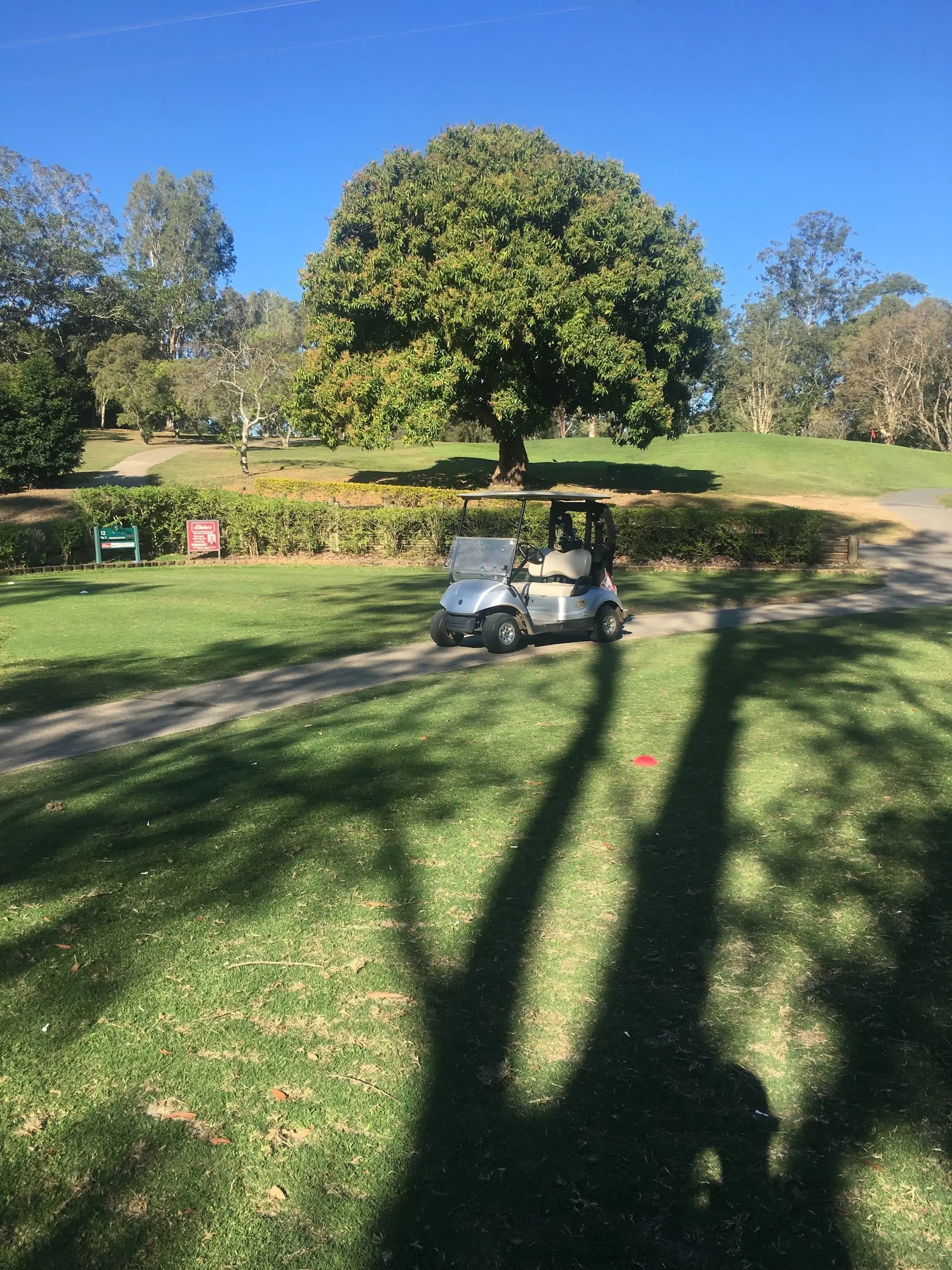 Shaded fairway with a golf buggy beneath tall trees