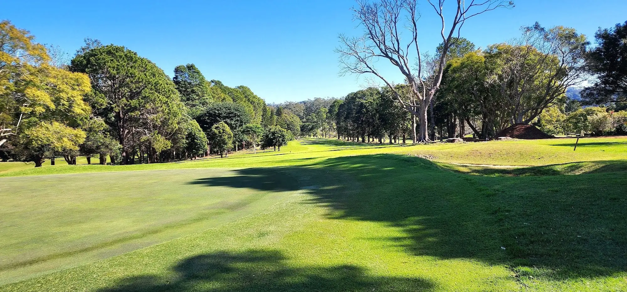 Wide fairway with trees and shadows in afternoon light