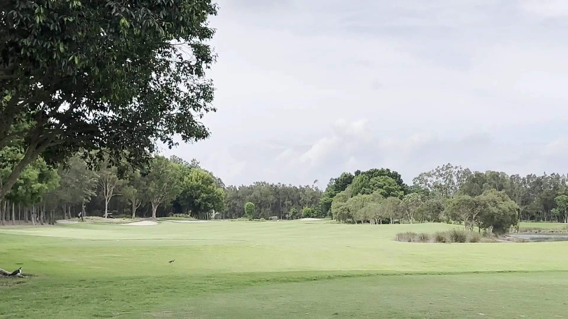 Wide fairway stretching toward distant trees under cloud