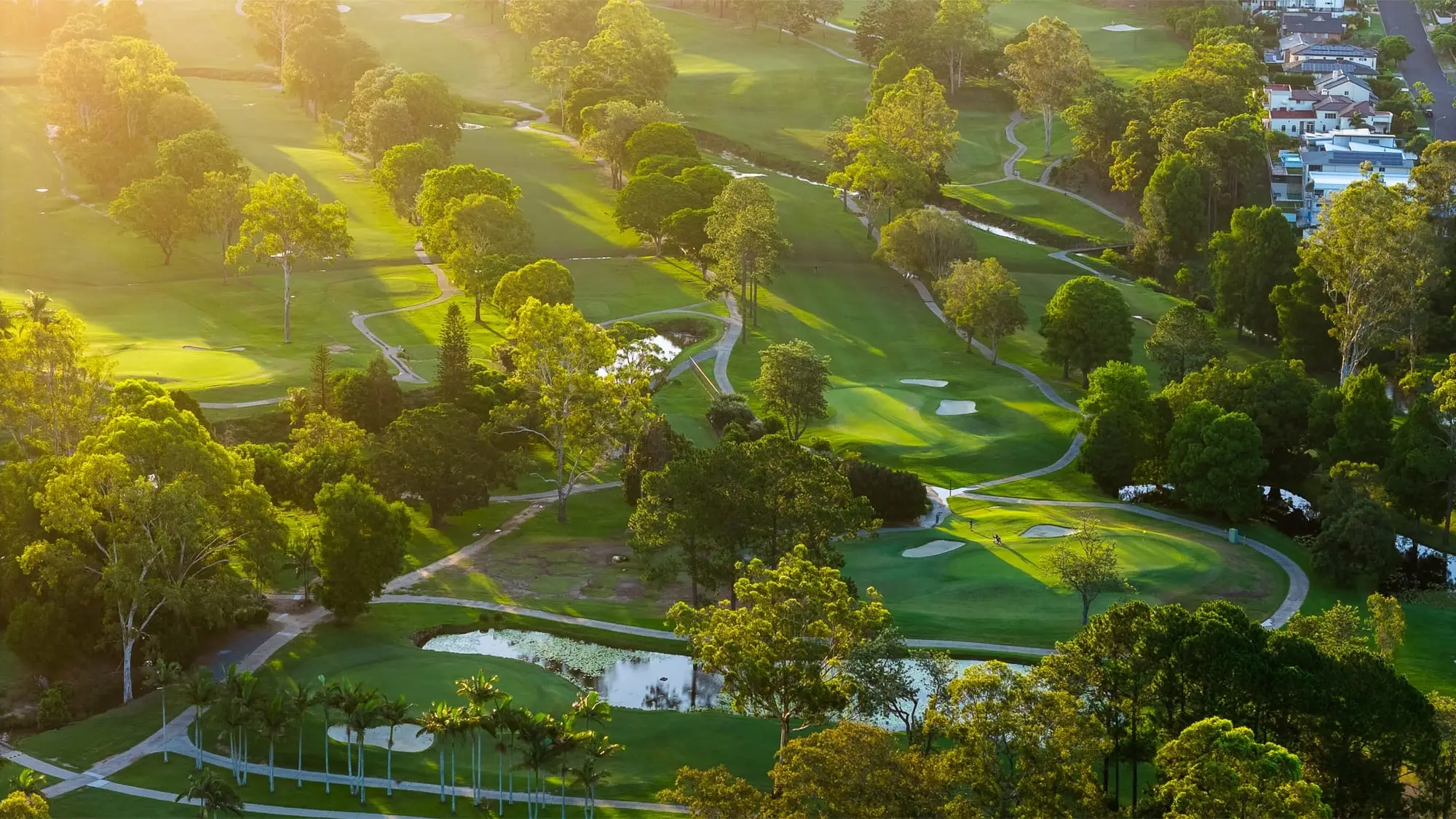 Aerial view of fairways and greens weaving through tall trees