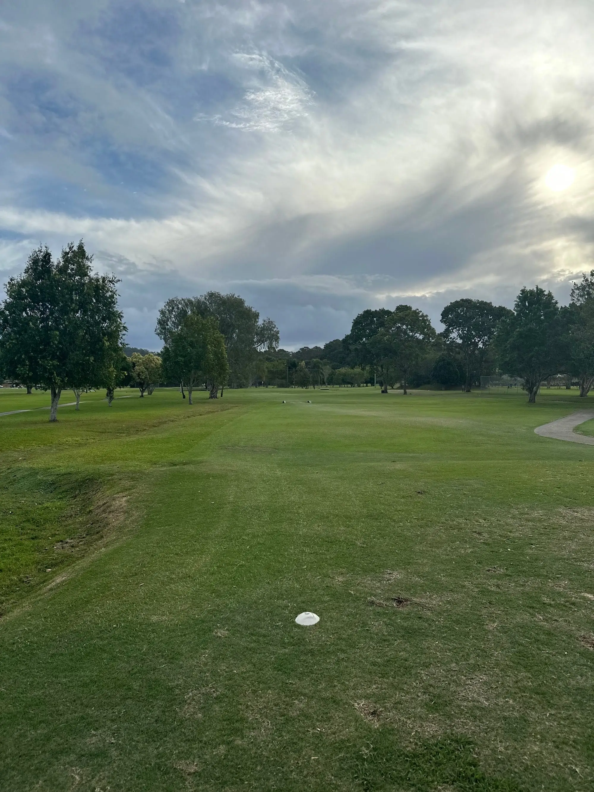 Fairway with tall trees under overcast sky