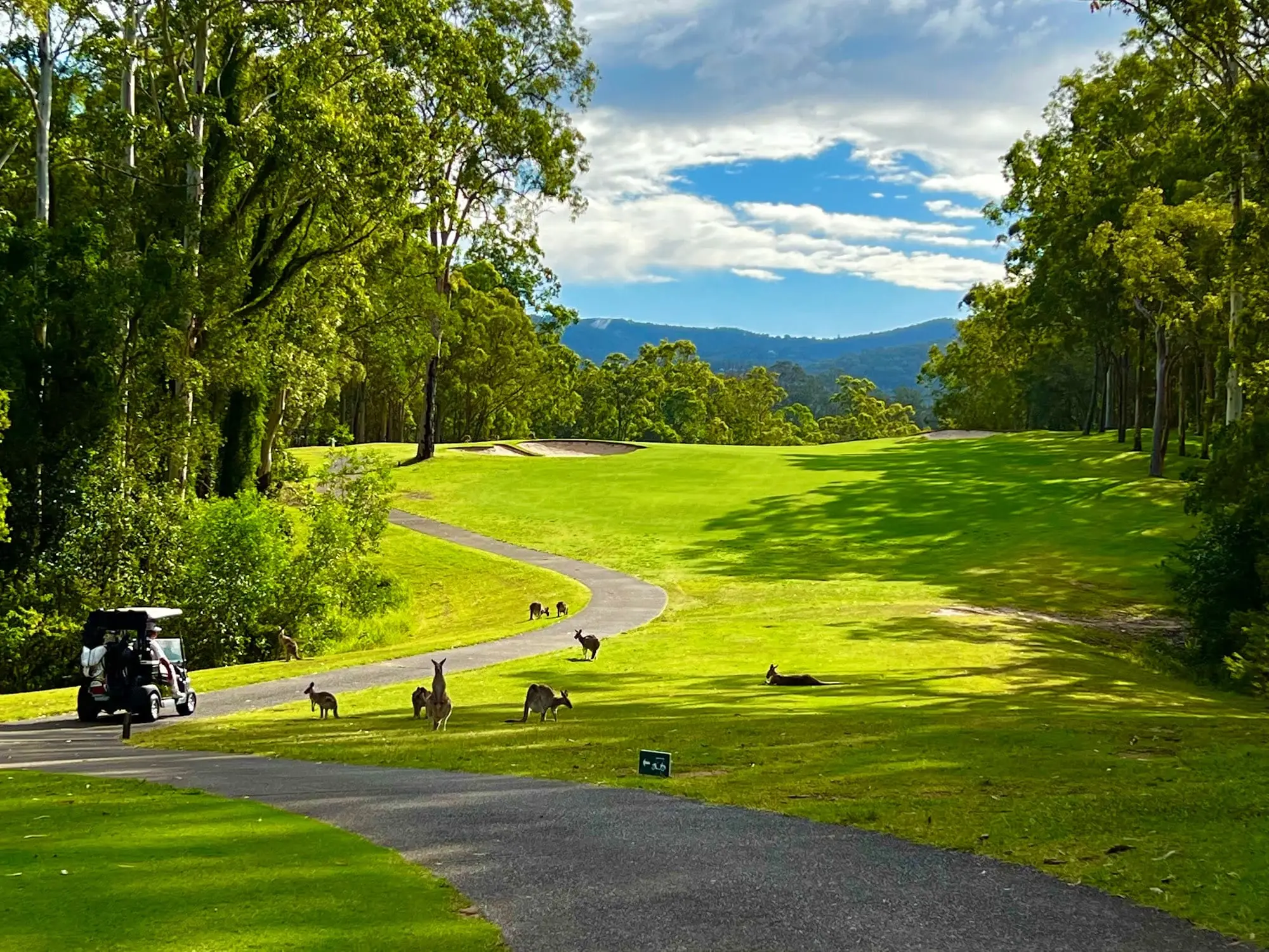 Fairway with kangaroos and hills visible in the distance