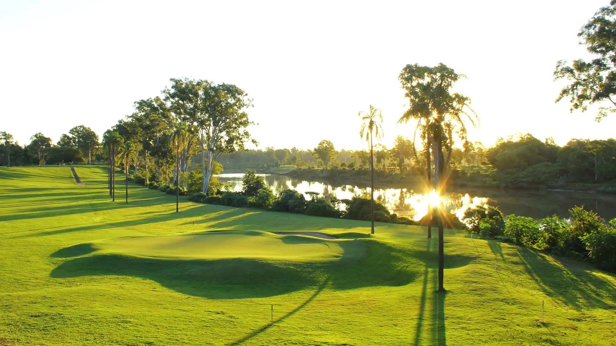 Sun low over a green beside the river with palms