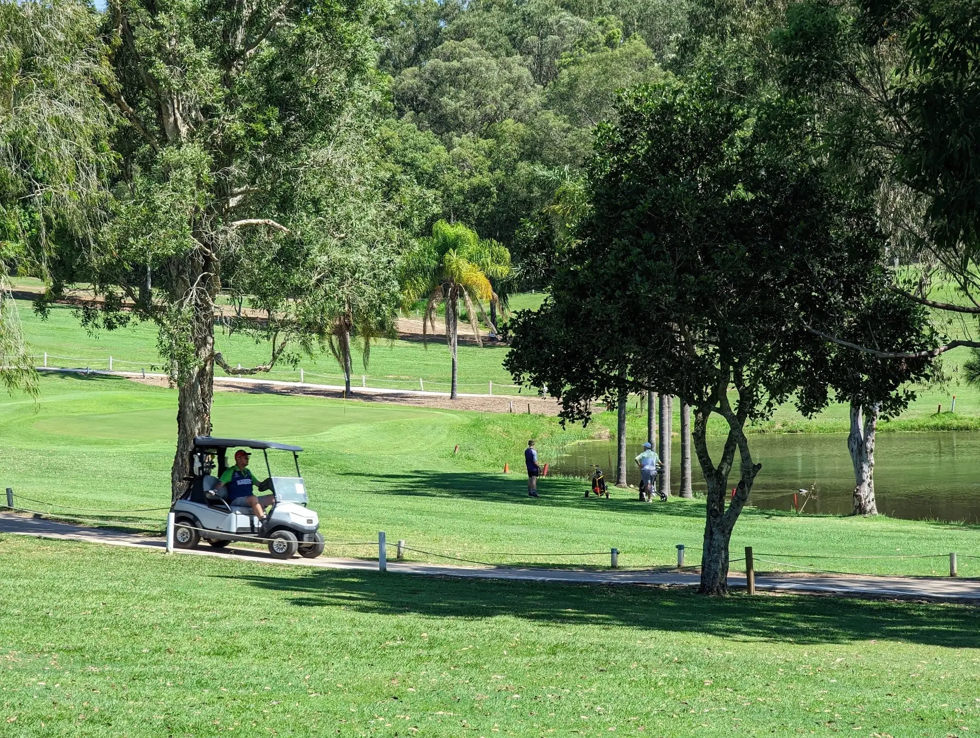 Fairway beside a pond with a buggy and trees