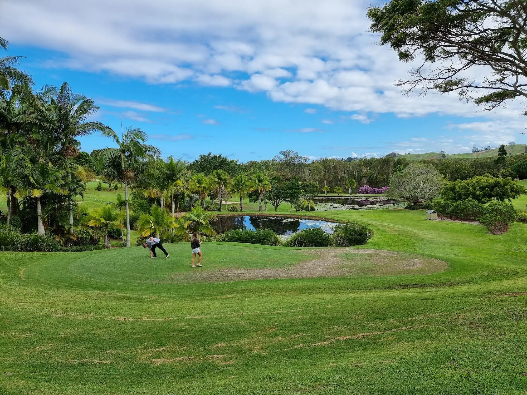 Green and pond surrounded by palms and tropical gardens