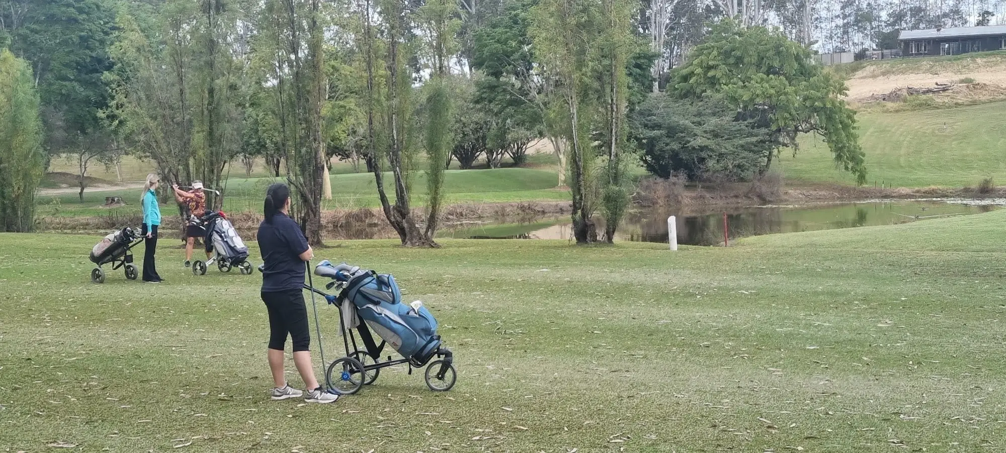 Pond and trees beside a fairway with golfers in distance