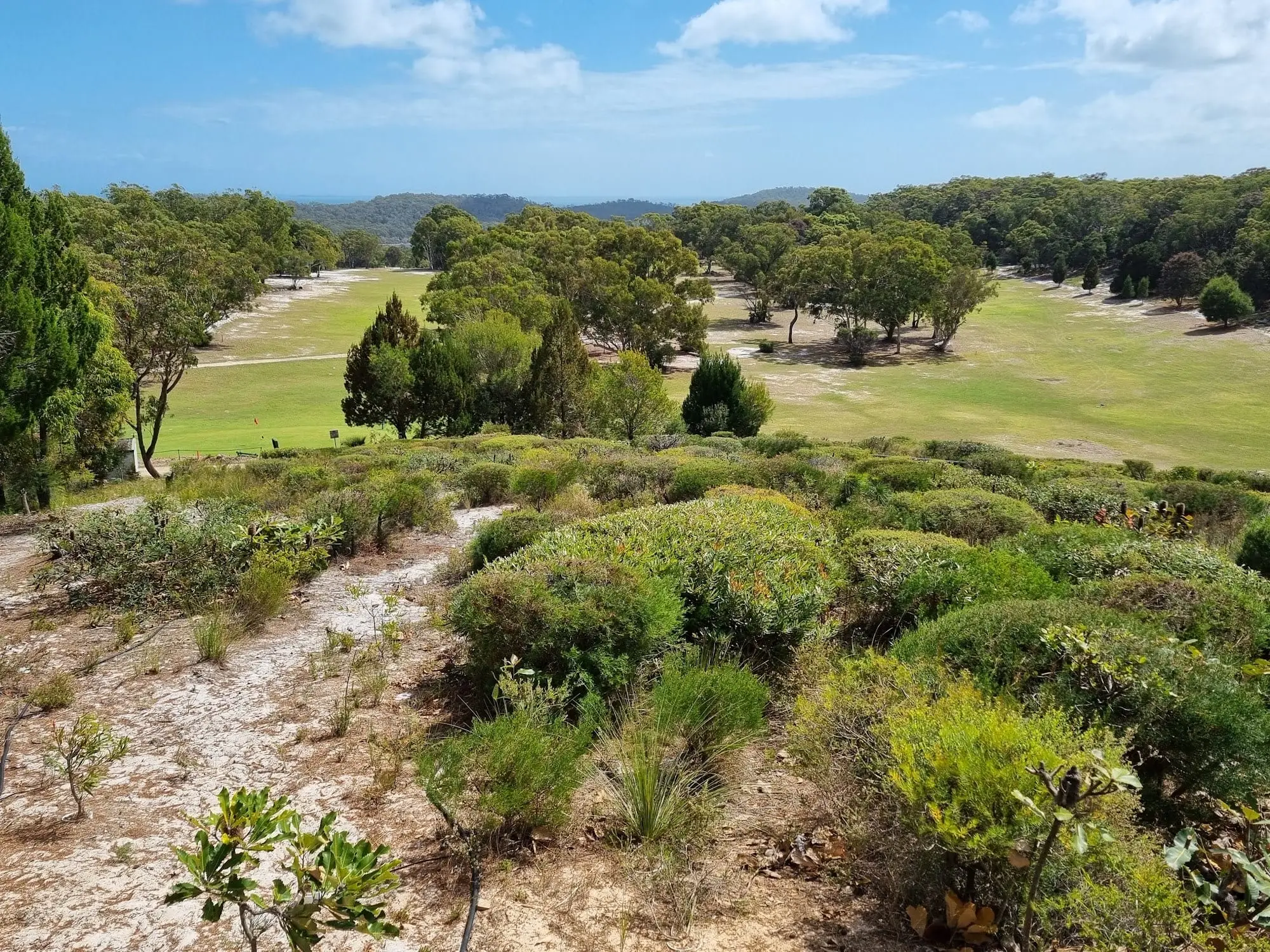 Fairway viewed over low coastal scrub