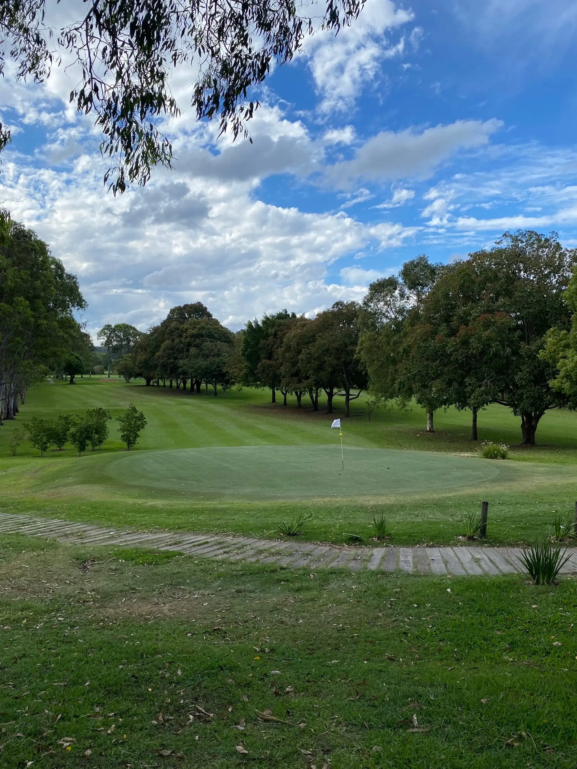 Putting green with flag among mature trees under blue sky