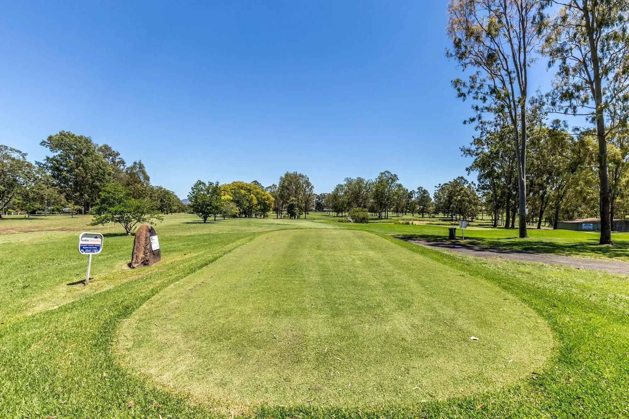 Fairway running between gum trees under clear blue sky