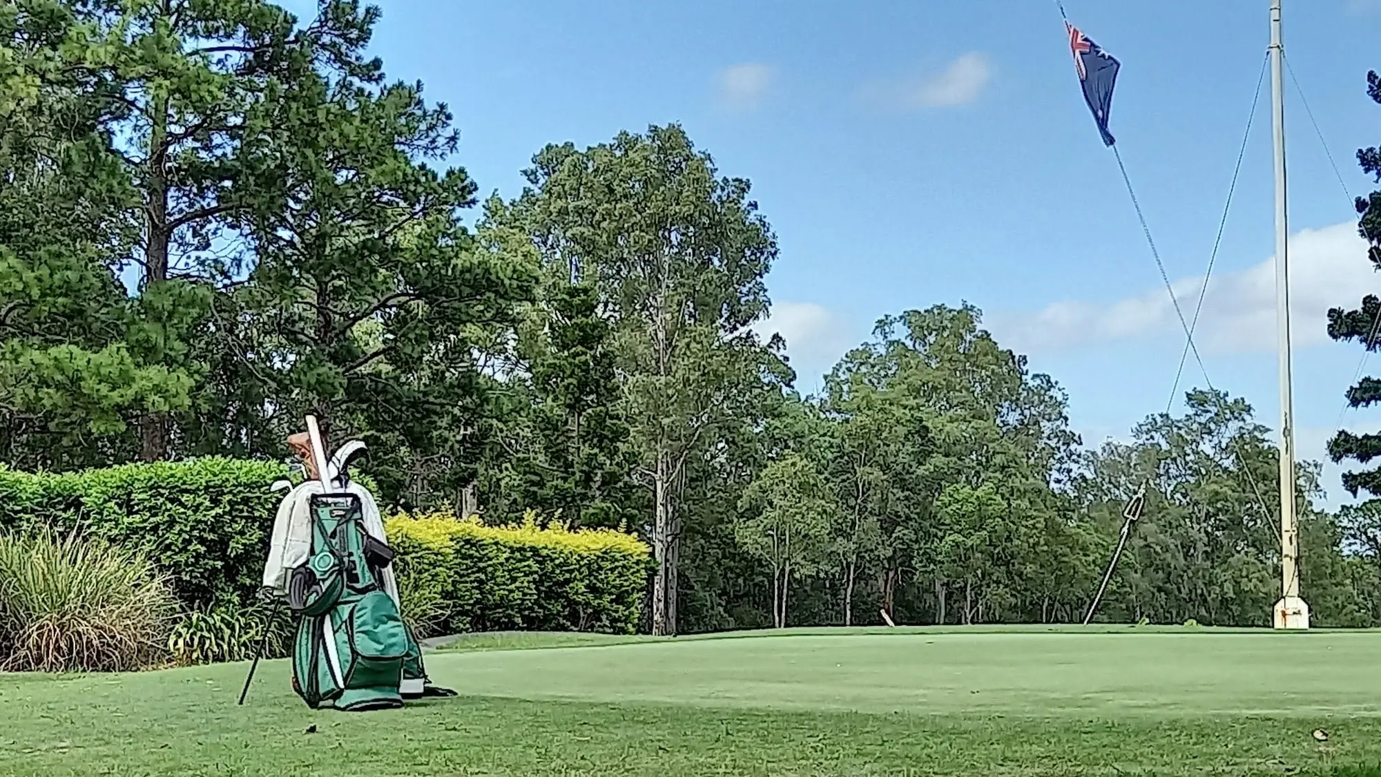 Green with flagpole and bag beside tall trees