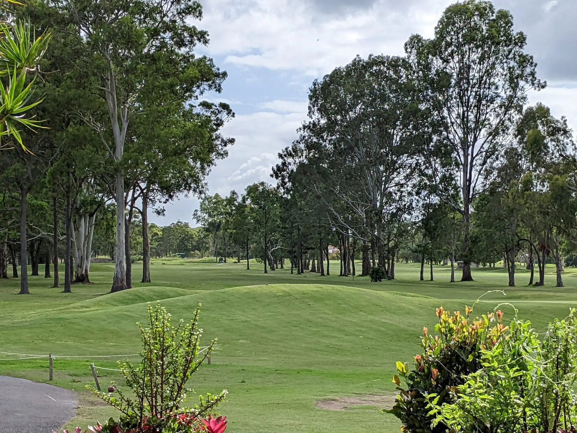 Tree-lined fairway with green under cloud