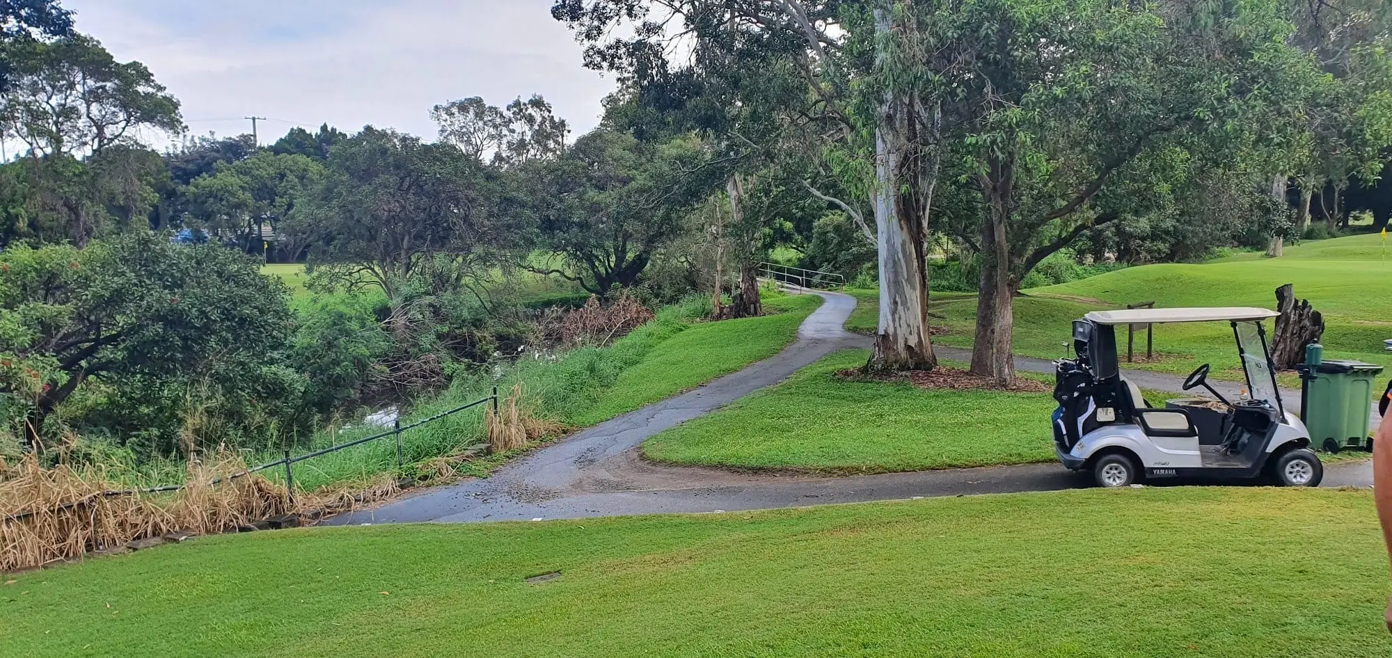 Cart path beside a creek with trees and fairway