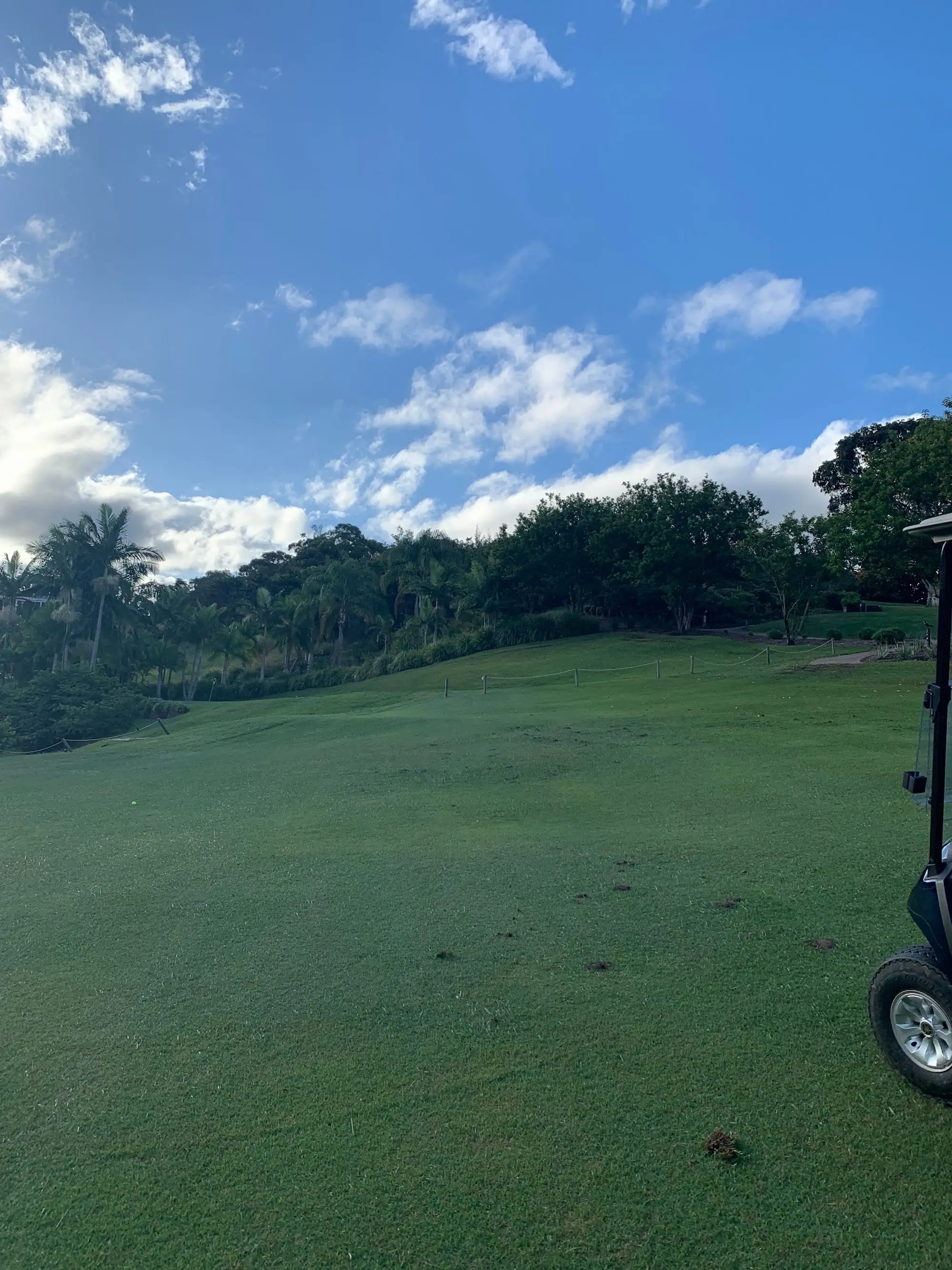 Fairway sloping down through trees under blue sky