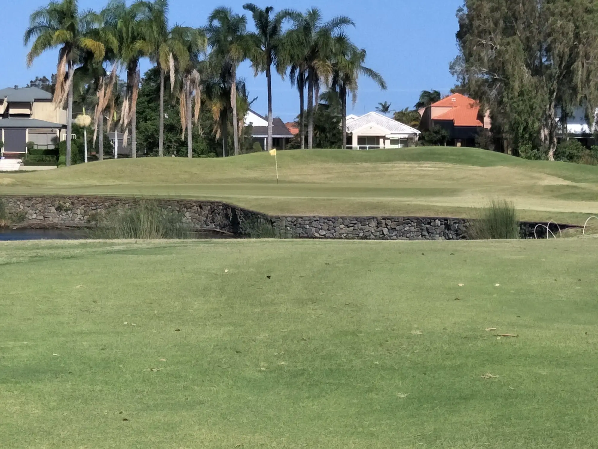 Green and pond with palms and homes behind