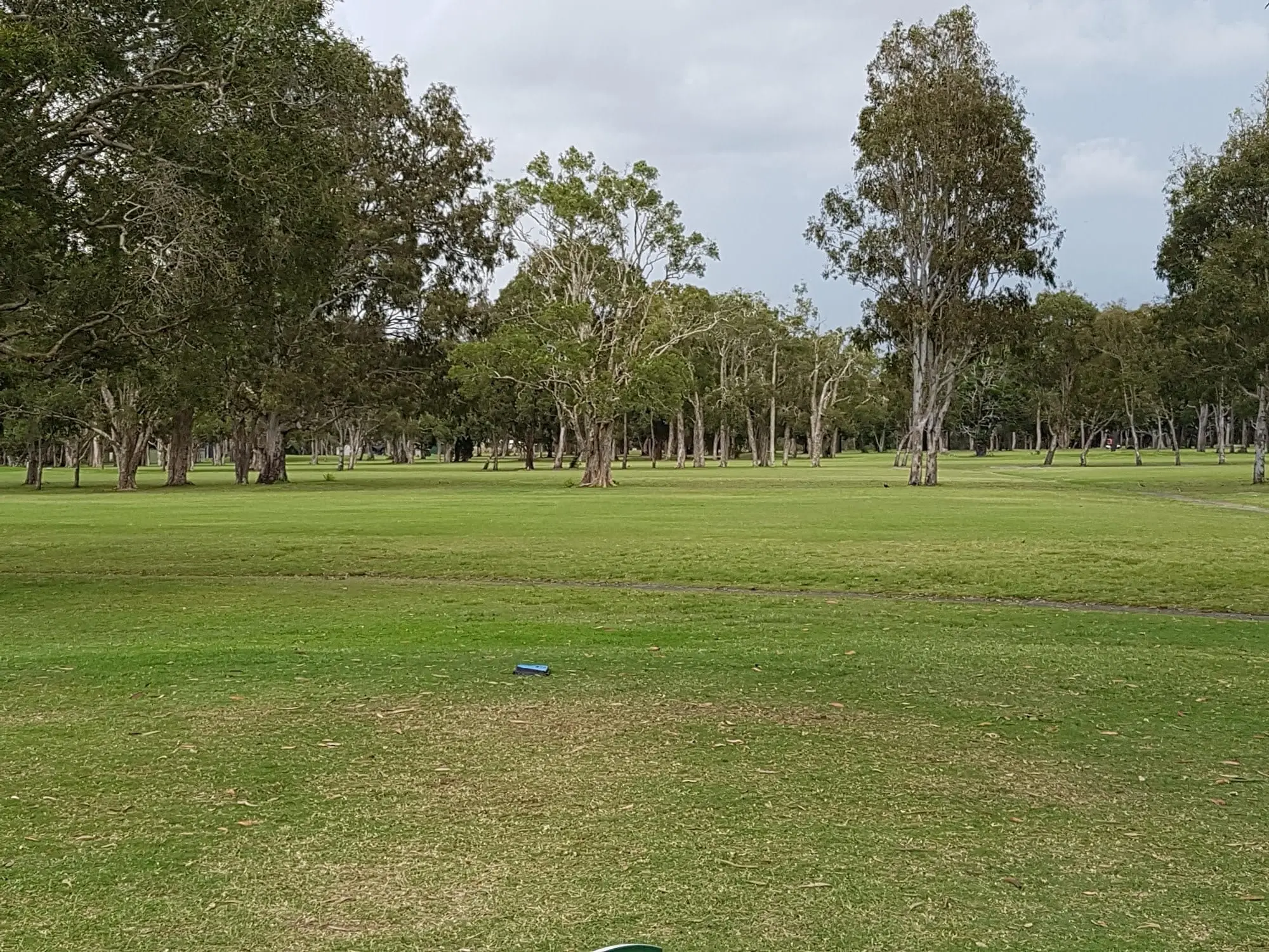 Fairway lined with gum trees and a tee marker