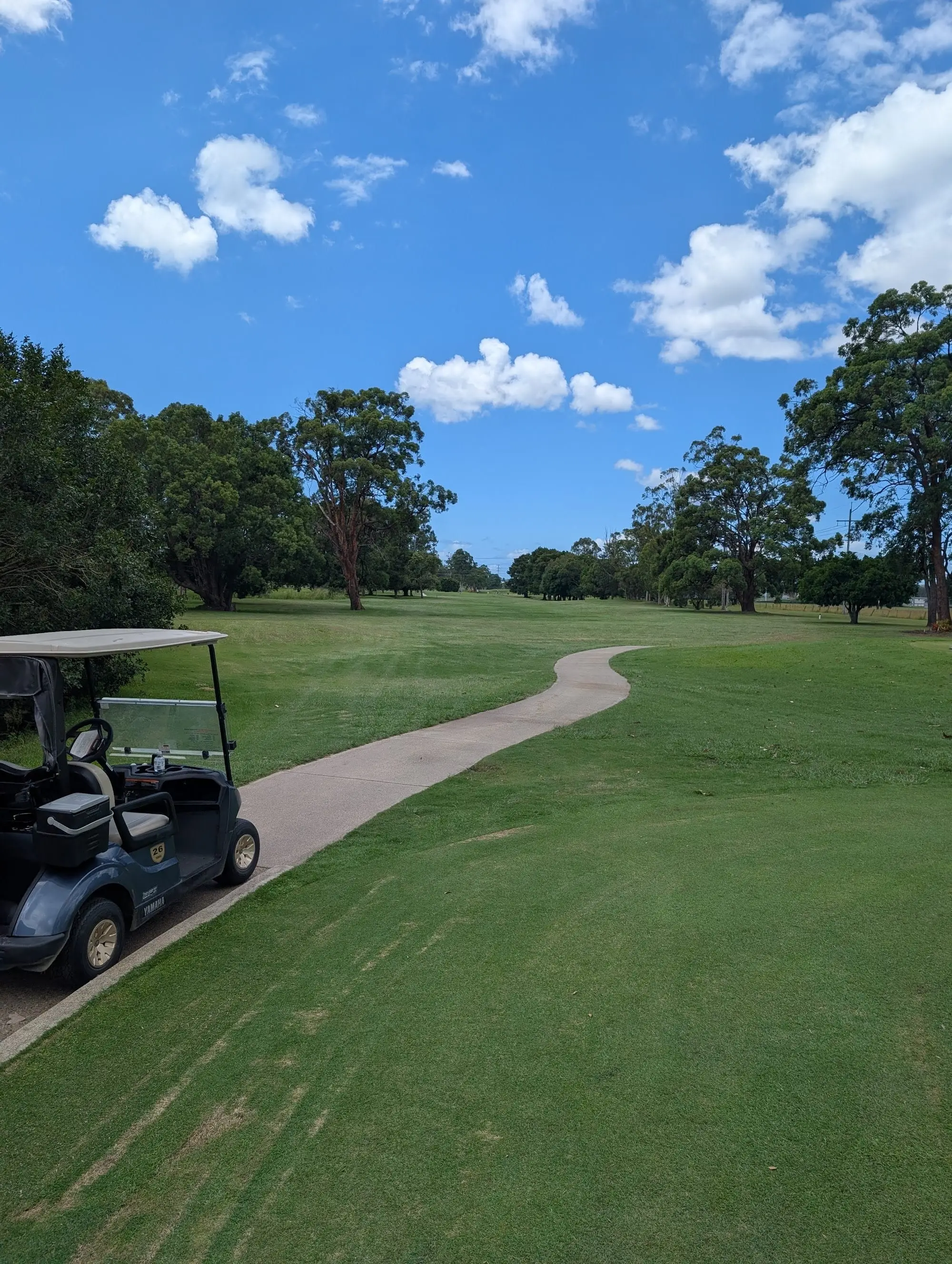 Fairway with golf cart path and large trees