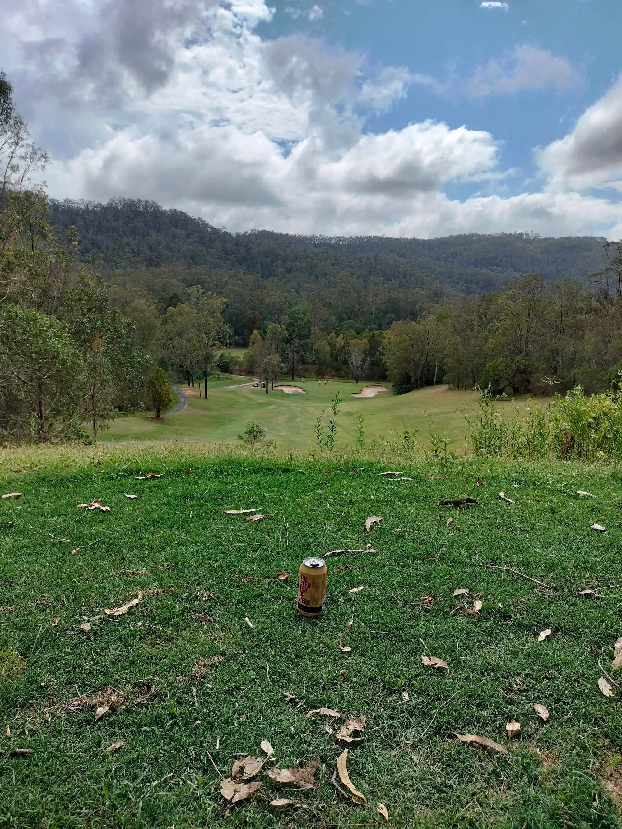 Elevated tee view down a fairway into forested valley