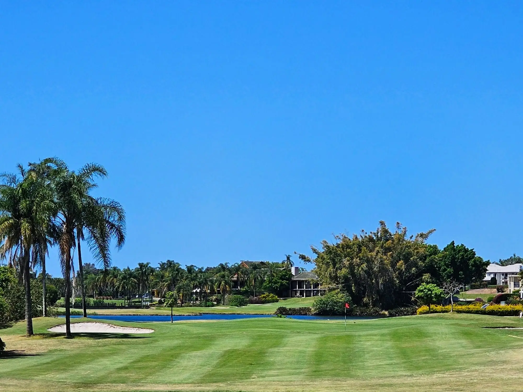 Green and lake with palm trees and clear blue sky