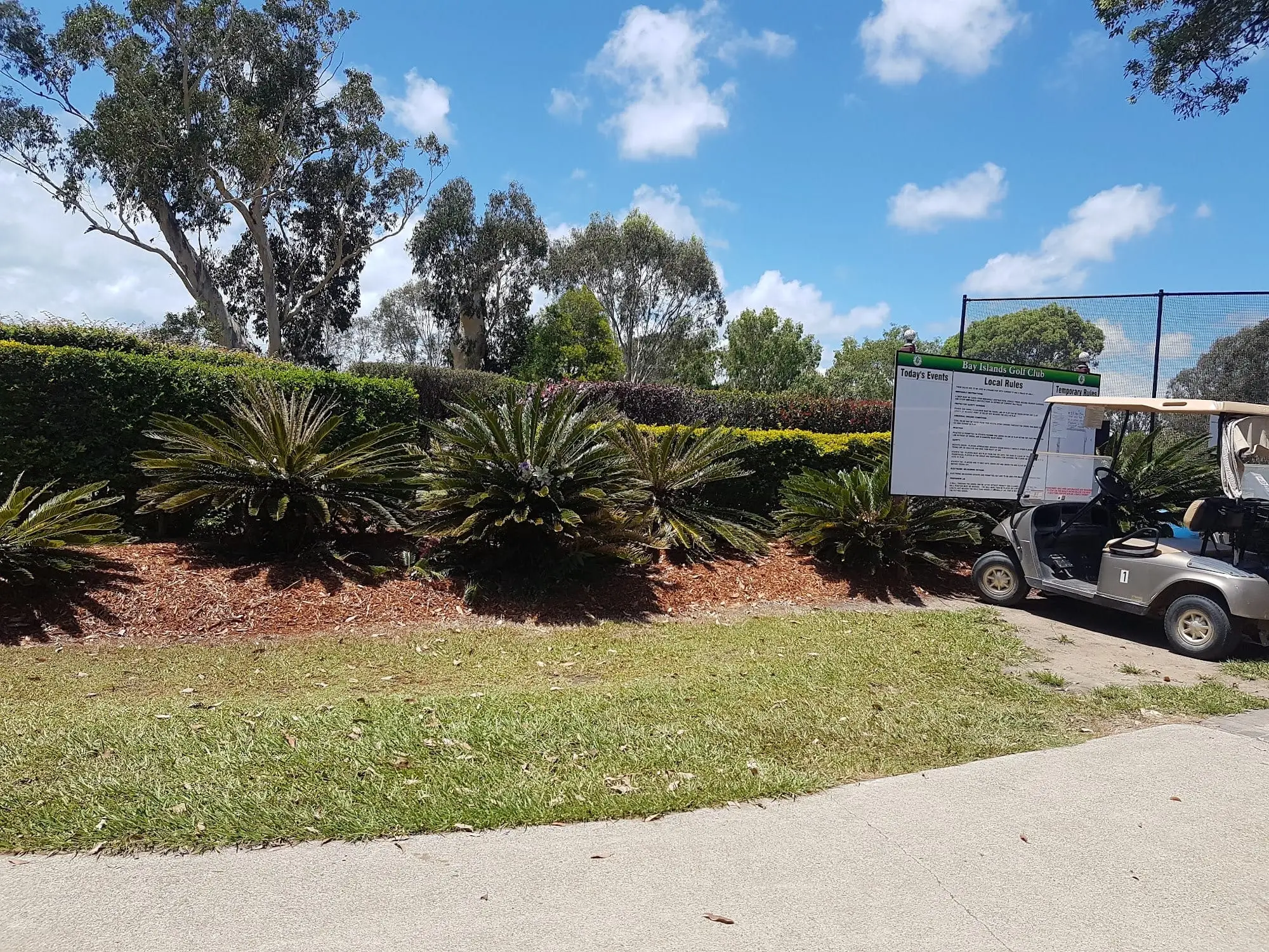 Golf buggy beside a path with palms and hedges in sunshine