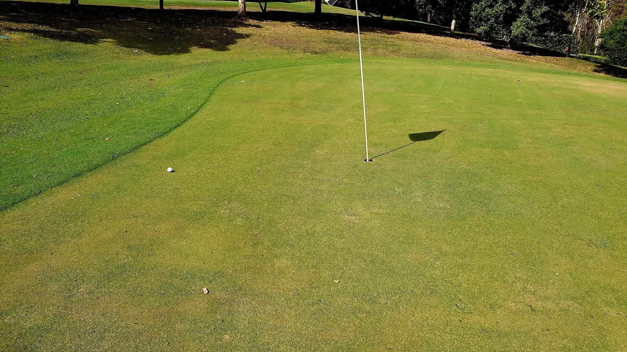 Putting green with flag in afternoon light