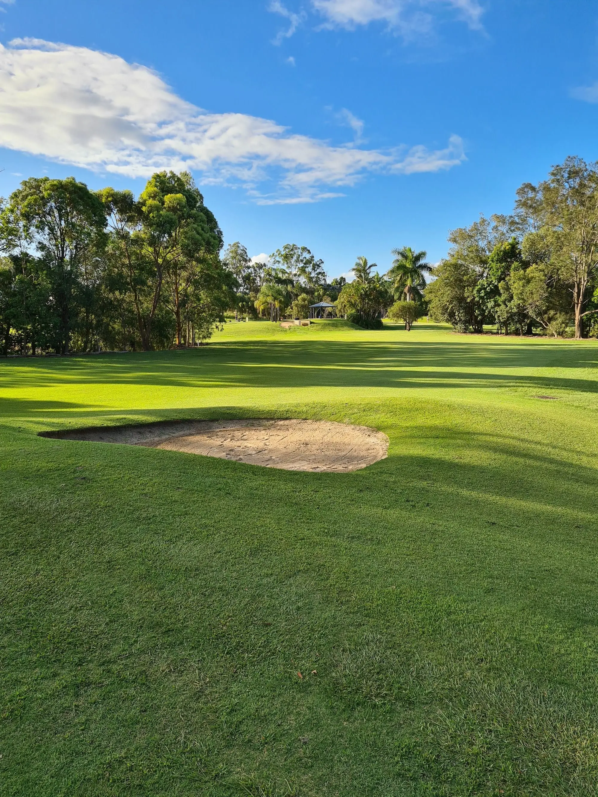 Green fairway with bunker and trees in sunlight