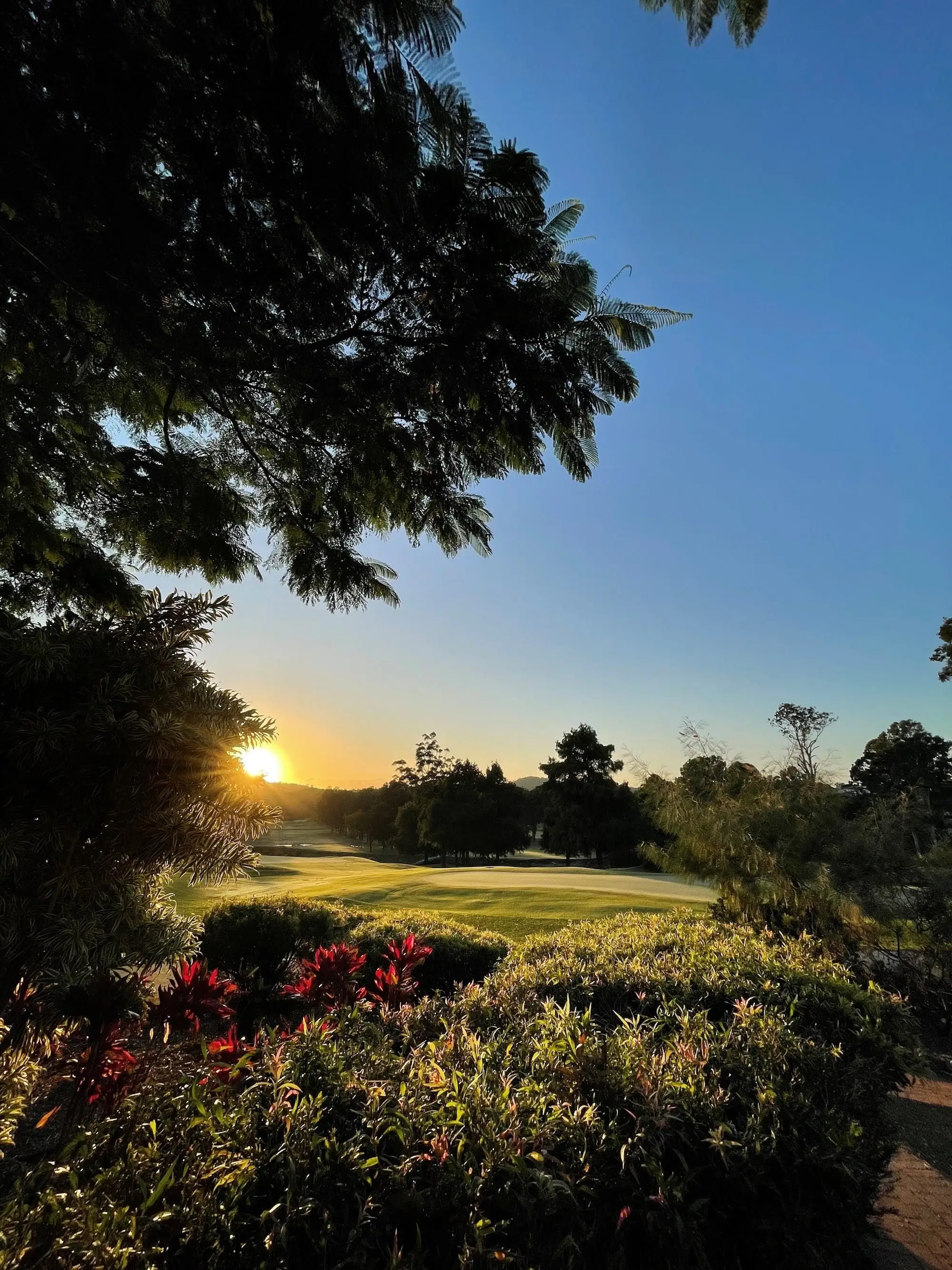 Sunset glowing over trees and a fairway