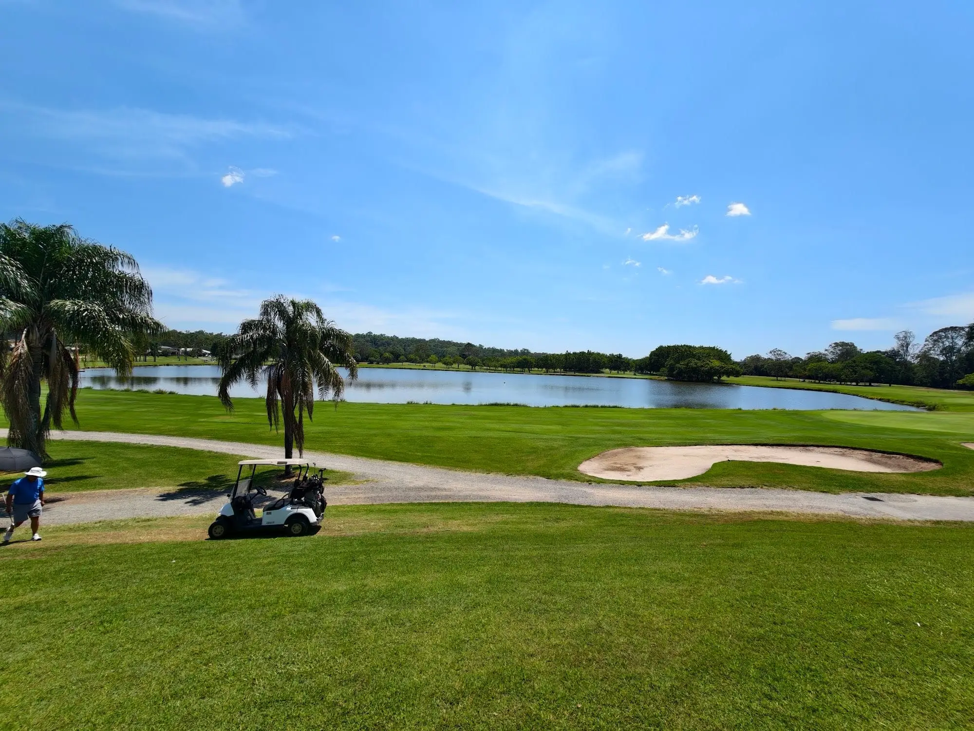 Lake with palms and bunker beside the fairway