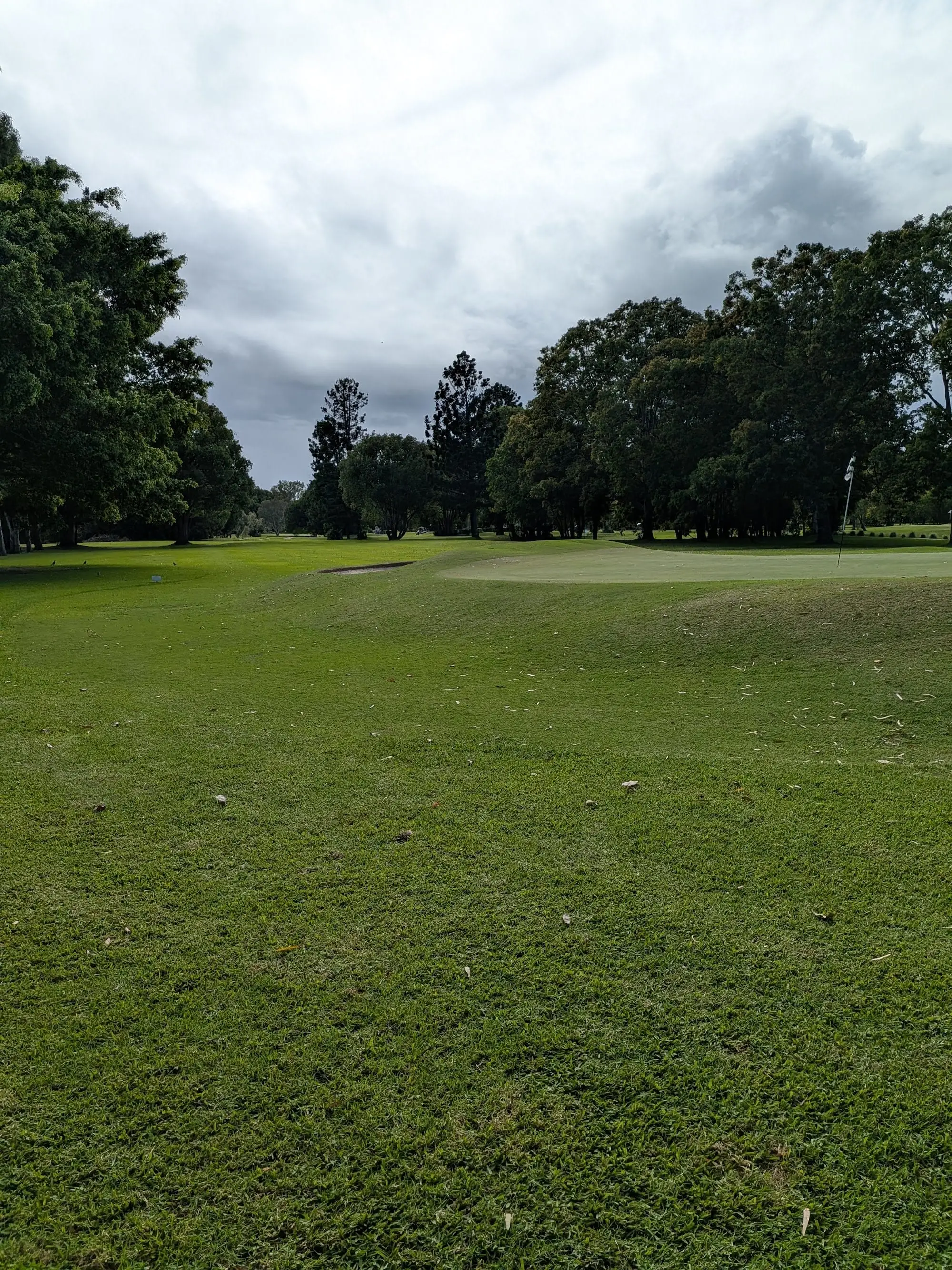 Green rising beyond a fairway with trees behind