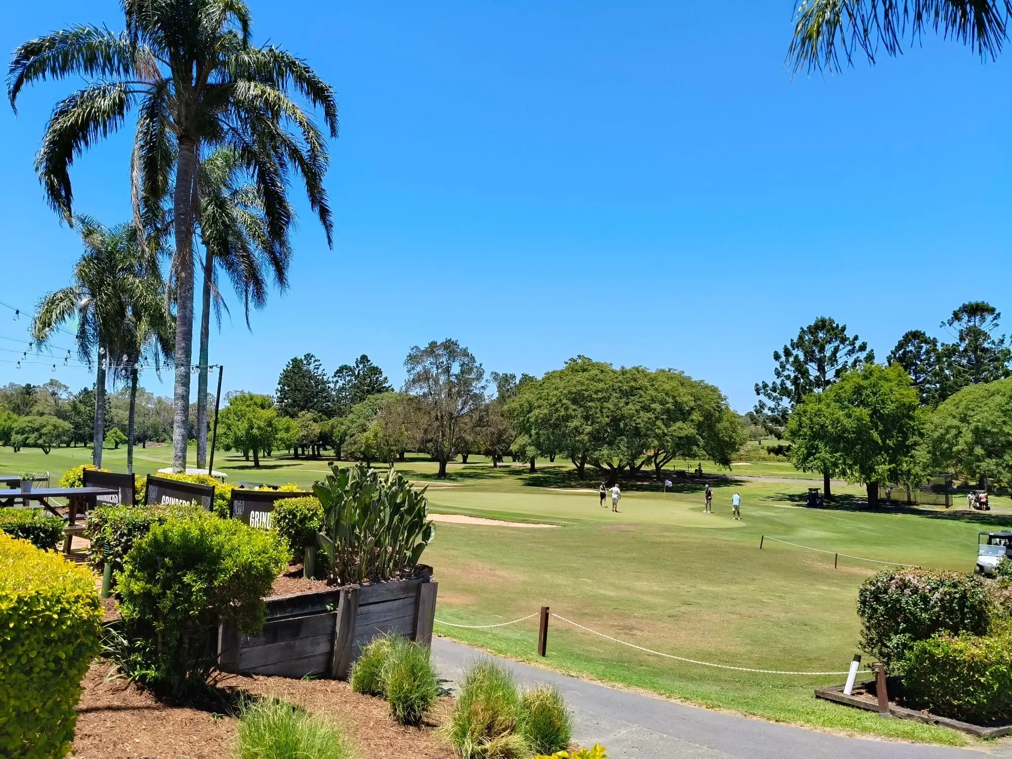 View over the course and trees from the clubhouse garden